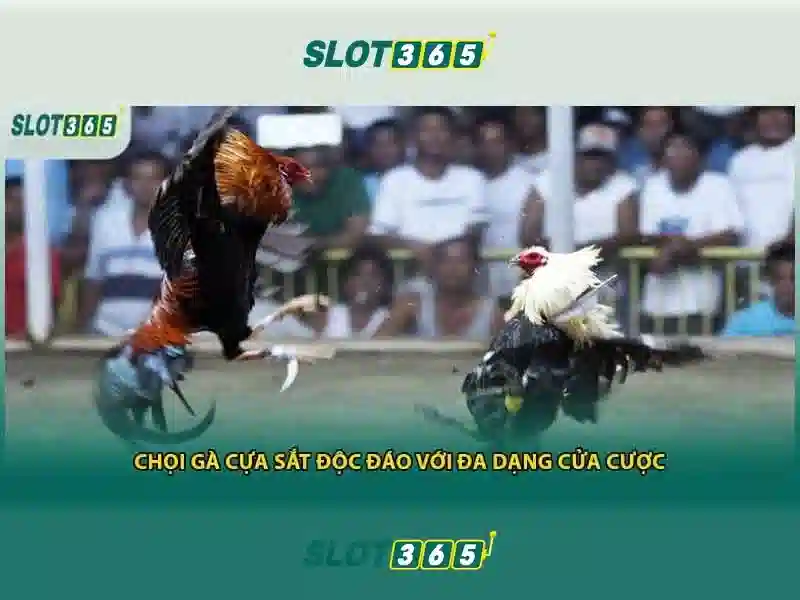 Bảo mật thanh toán USDT slot365