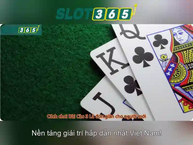 Phân tích RTP và biến động slot365